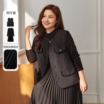 Cilie Show big code High sense two sets French style name Yuanyu Temperament Women Dress Fat mm2023 Winter Dress New