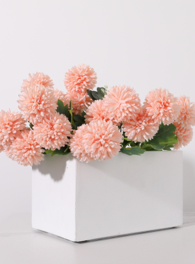 环保水泥花盆厂家直销种菜