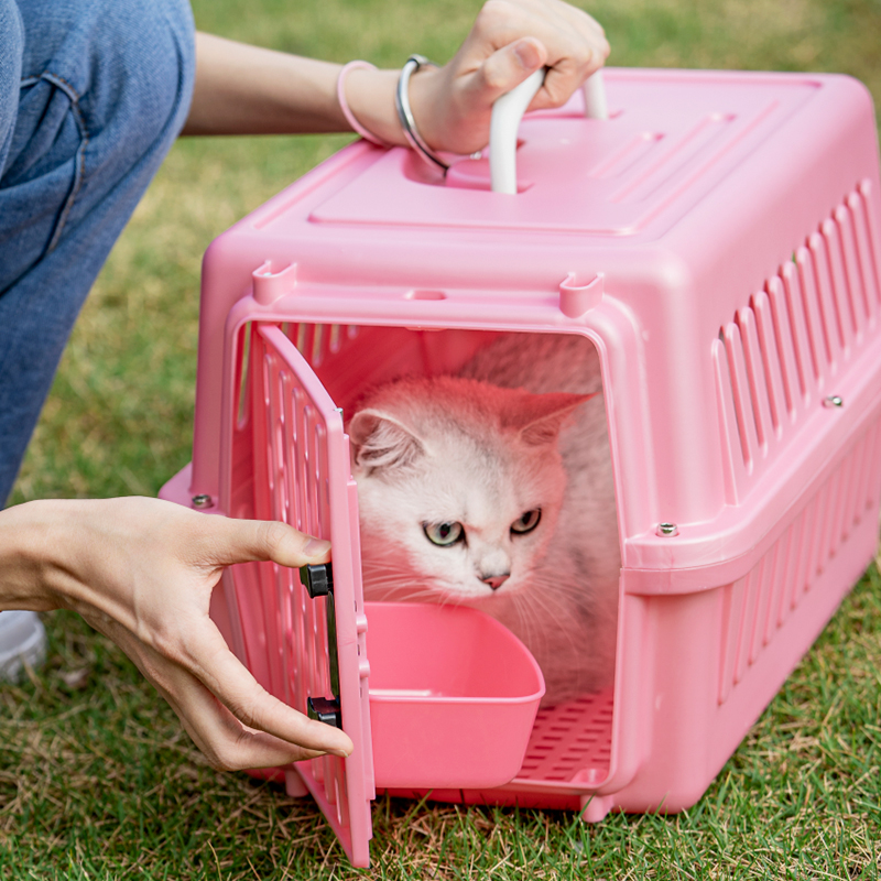 便携宠物航空箱猫狗托运箱猫箱子猫咪外出就医自驾运输仓鼠鸟笼子 - 图1