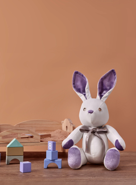 开学季兔子纪念品礼品可绘画创意