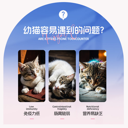 皇家猫粮K36幼猫bk34奶糕粮宠物猫咪营养哺乳期I27室内成猫粮2KG - 图3