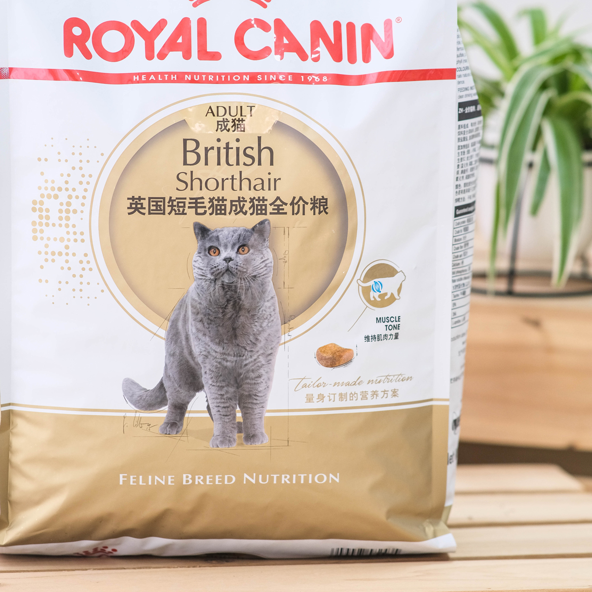 皇家猫粮BS34英国短毛成猫金银渐层蓝猫金吉拉专用2KG营养增肥 - 图1