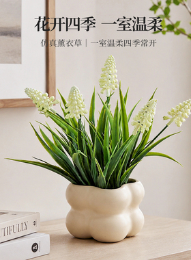 薰衣草桌面盆栽仿真绿植客厅装饰
