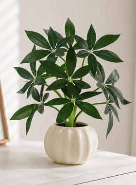 仿真鸭掌叶南瓜盆绿植桌面装饰品
