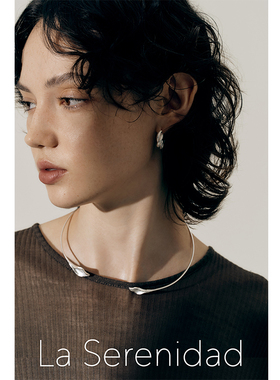 LaSerenidad925银叶片复古项圈