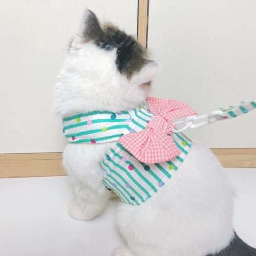 Семь кошек Ханфенг домашние животные половина -теку