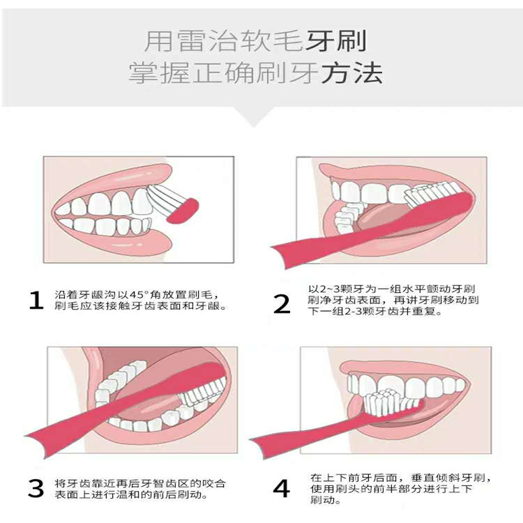 泰国雷治成人软毛儿童牙刷去牙结石去烟渍家用中 亮白牙齿 牙渍