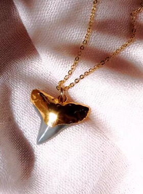 手作波西米亚黑金化石牙齿项链