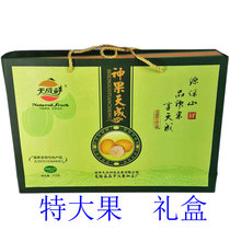 Luxurious Lilly Heavens Day of the Second Generation of the Grosvenori Fruits of the Giant Fruits of the Bright Fruits