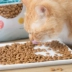 Ren Ke / hoàng gia Pháp bản địa calendula thảo mộc thức ăn tự nhiên sức sống bốn điều tạo nên thức ăn cho mèo 8kg PF3 - Cat Staples thức ăn phụ kiện cho mèo Cat Staples