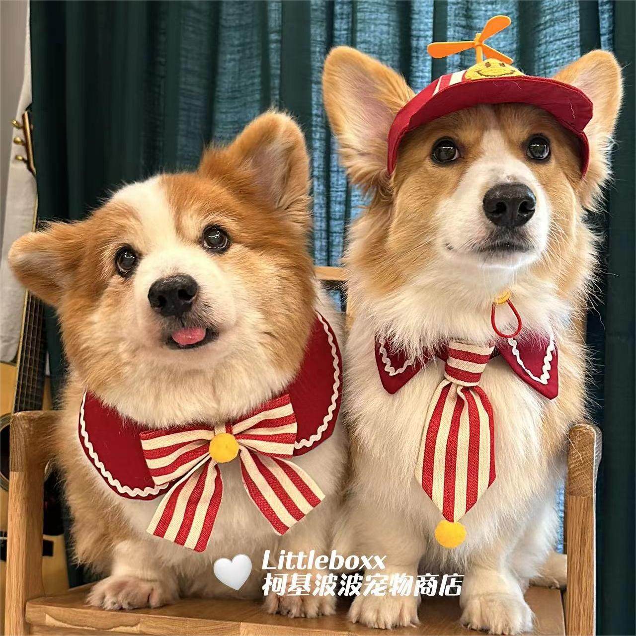 Liittleboxx柯基波波红白条毛球蝴蝶结围嘴口水巾小中大型犬围兜,淘宝优惠券,粉丝福利购,淘宝优惠卷