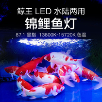 Aquarium T8 FISH TANK LAMP Stunning Lighting LED Light Diving Lamp Waterproof Super Bright Gold Fish Tank Brocade Carp Special lamp