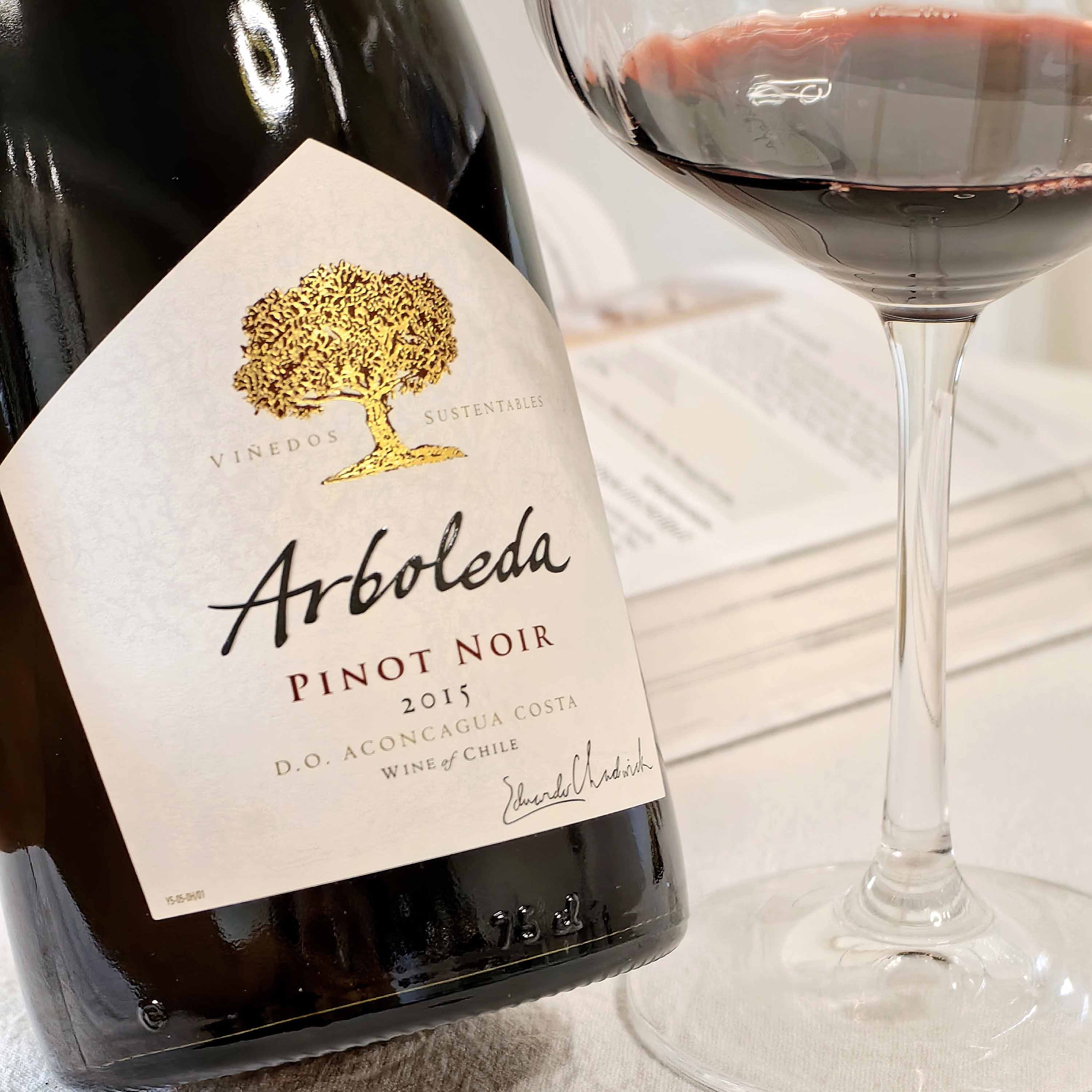 90+高分黑皮诺智利珍木庄园Arboleda Pinot Noir2016干红葡萄窖主-图1