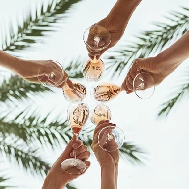 巴黎之花香槟杯 经典不过时值得收藏 实用耐看 外单出口 葡萄窖主,淘宝优惠券,粉丝福利购,淘宝优惠卷