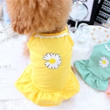 Домашняя кошка в летнем тонкая слинг