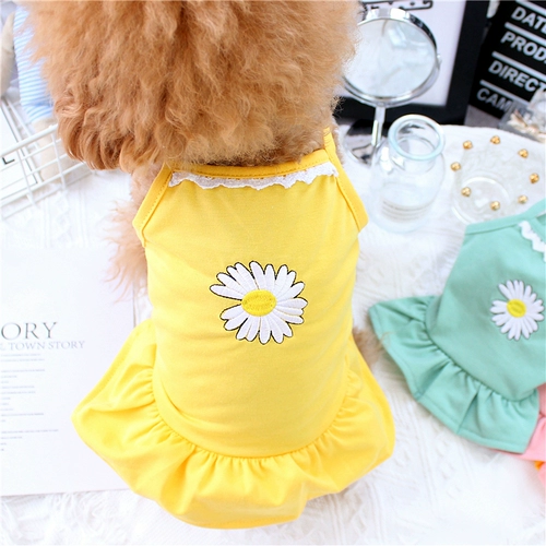 Домашняя кошка в летнем тонкая слинг