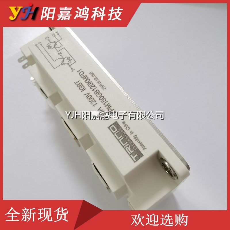 全新TPM150GB120KHN TPM200GB120KHN TPM300GB120KHN特瑞诺TRINO-图2