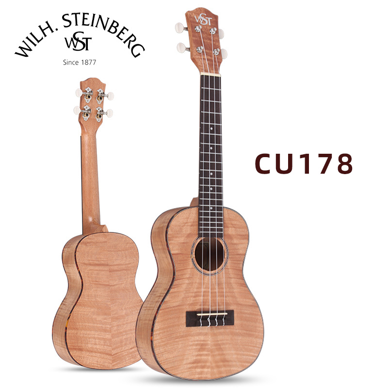 WST CU118/CU178/SU258EQ面单电箱21寸/23寸初学者尤克里里小吉他 - 图2