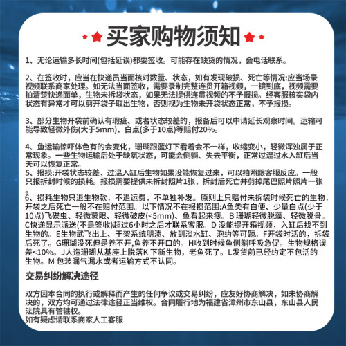 彩色地毯海葵 活体珊瑚 黄色蓝色红色荧光绿地毯海葵 小丑鱼共生 - 图3