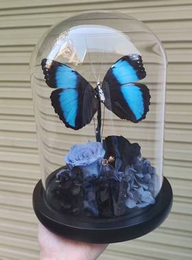 安东尼斯闪蝶仿生机械会动天堂凤蝶标本玻璃罩摆件手工男生礼物