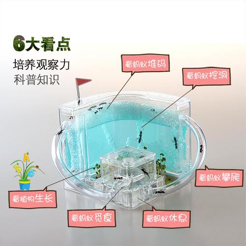蚂蚁工坊 蚂蚁城堡家园庄园蚁后 蚂蚁宠物 送蚂蚁活体幼儿学玩具 - 图1