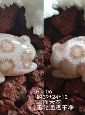 印尼珊瑚玉双面雕刻菊花石吊坠