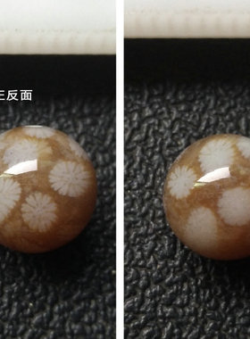 天然珊瑚玉精品散珠物美价廉