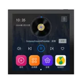 Hope жаждет Mini4a Smart Home Voice Founal Music Music Host System Потолочный звук