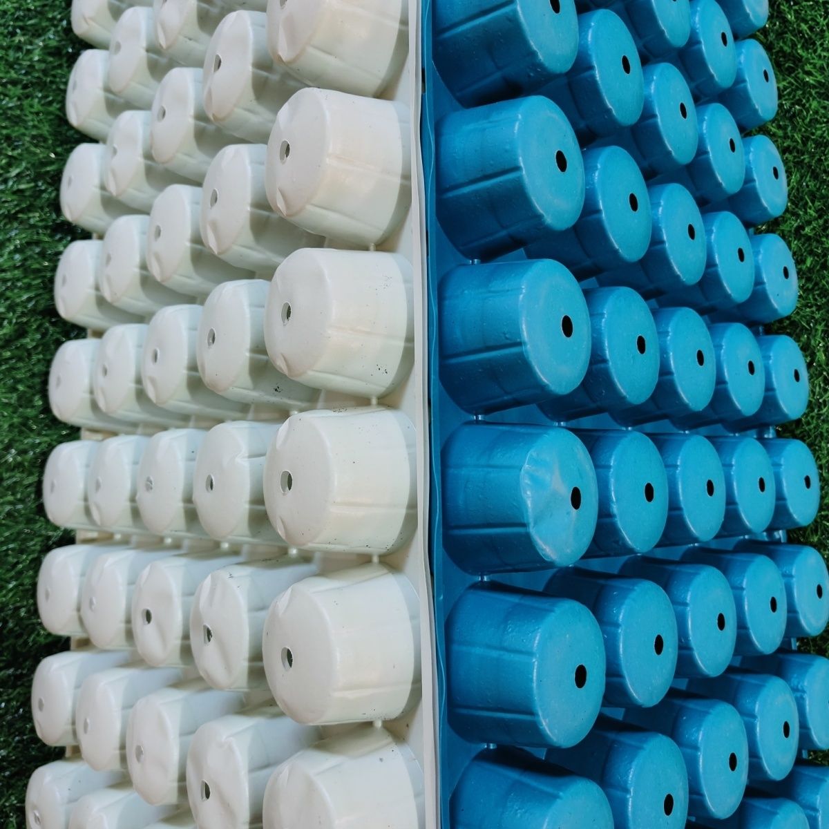 圆孔营养块盘50孔育苗盘菜苗营养块专用穴盘白色蓝色耐用韧性强-图1