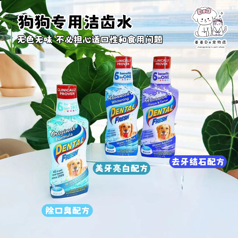 美国进口DENTAL FRESH清新乐宠物漱口水可食用狗猫咪除口臭洁齿水 - 图1