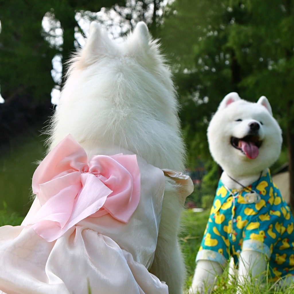 宠物大狗狗连身裙中大型犬礼裙萨摩耶金毛拉布拉多休闲服饰,淘宝优惠券,粉丝福利购,淘宝优惠卷