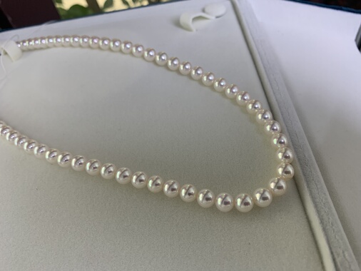 真科研Rose P极光akoya珍珠项链6.5-7mm正圆极微微瑕珍珠项链送礼
