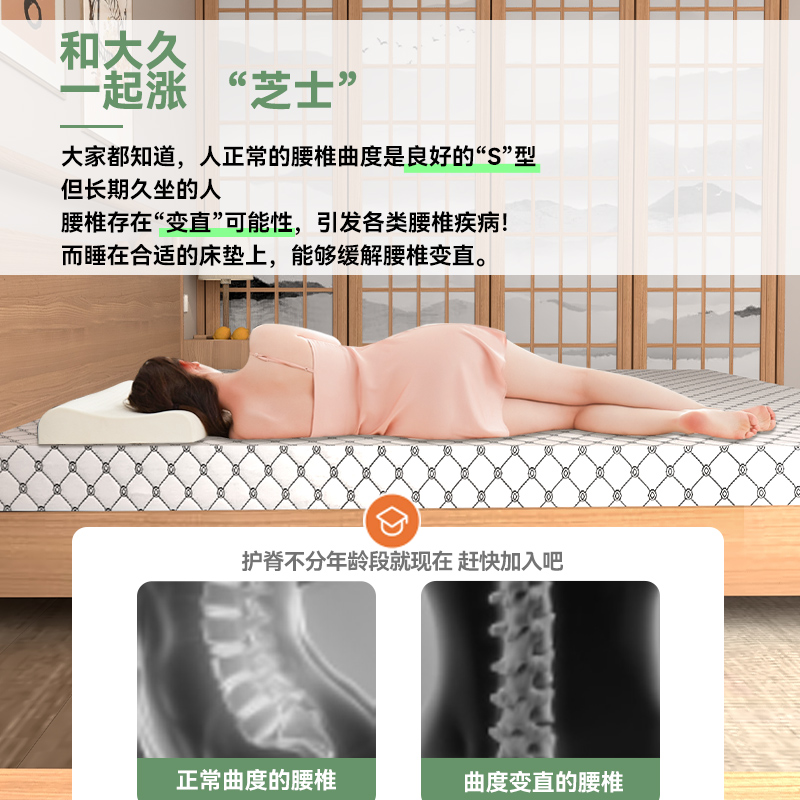 家用棕垫硬垫天然椰棕床垫护脊椎学生宿舍儿童乳胶棕榈可定制软垫 - 图0