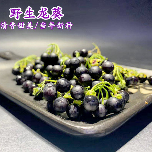 龙葵种籽东北黑天天紫黑黝黝悠悠龙葵果种四季高产阳台草子龙葵籽 - 图0