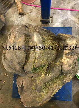 东北其他新款号松明子沉化老料北沉香雕刻练手树根树瘤树包摆件