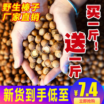 New stock 2022 Northeast wild hazelnut Mountain hazelnut iron Ridge Kaehara Raw Original Taste Nut Pregnant children Children snacks