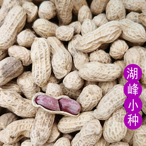 连城红衣花生 湿烤五香 蒜香 水煮 原味炒 龙岩闽西特产 脆 带壳 - 图1