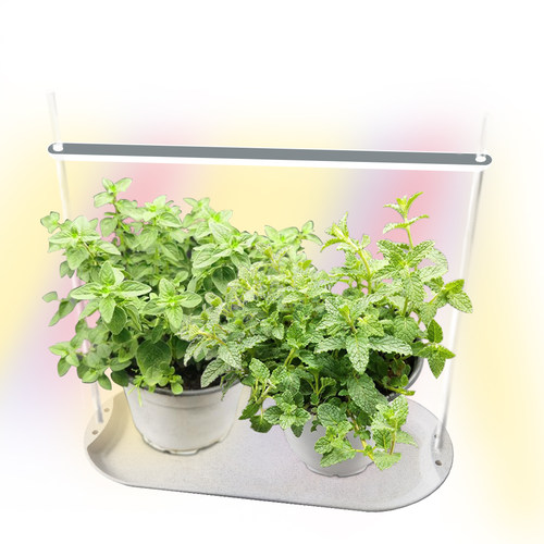 光束条灯带托盘底座植物生长灯自动定时室内桌面小型植物补光灯 - 图0