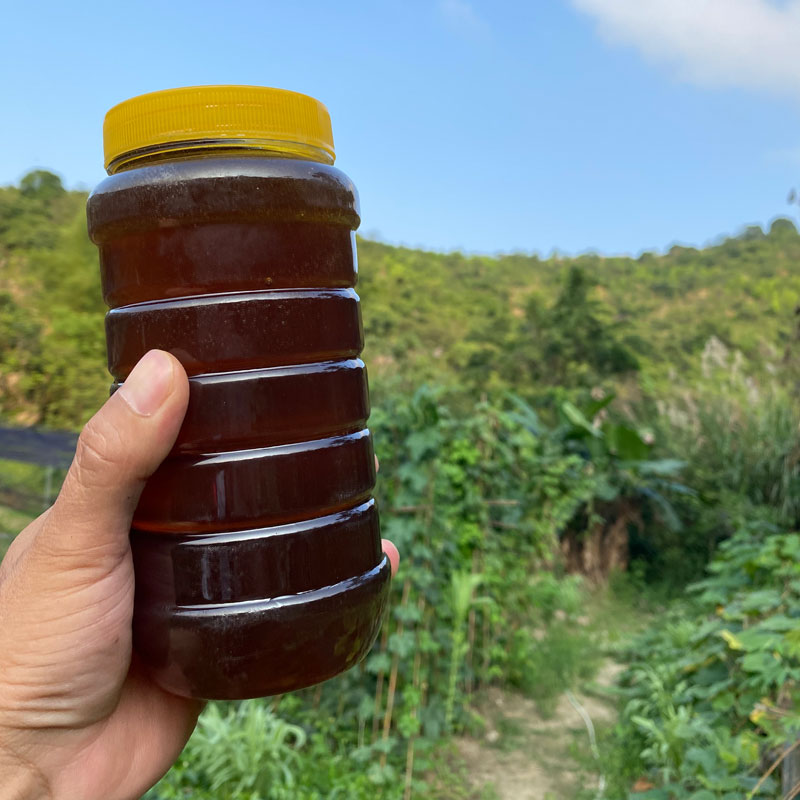 惠州刘氏纯正龙眼蜜荔枝蜜天然无添加浓度高泡水熬药皆可纯中蜂蜜
