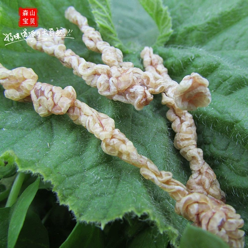 Чанбай гора снежная клада нефть подлинное новое сухое папайя снежный моллюско