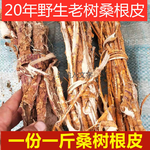 当年新货老桑树根皮 桑根皮 桑白皮 老桑皮一1斤包邮白桑皮桑根 - 图1