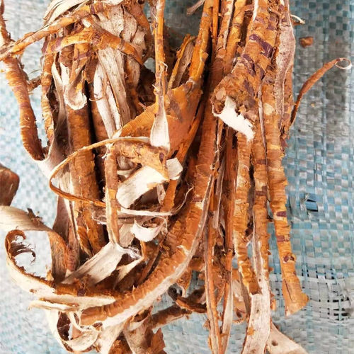 当年新货老桑树根皮 桑根皮 桑白皮 老桑皮一1斤包邮白桑皮桑根 - 图2