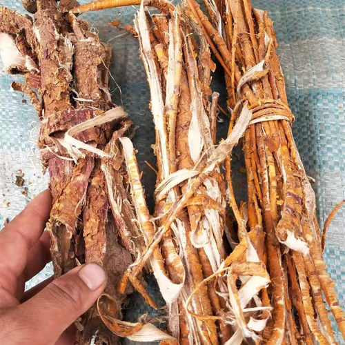 当年新货老桑树根皮 桑根皮 桑白皮 老桑皮一1斤包邮白桑皮桑根 - 图0