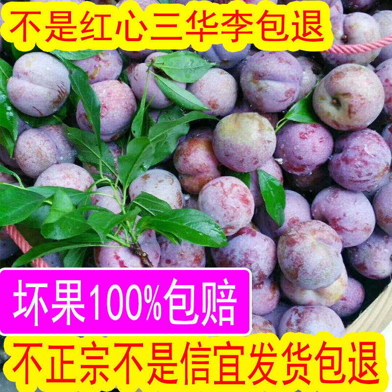 购乐食品信宜钱排红心三华李子当季新鲜孕妇水果早熟三月李酸甜脆整箱5斤0