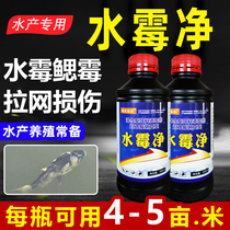 Aquacultural special water moult water purifying poplar acid larnet injury bleeding rotten body white hair skin mildew gill aquatic fish medicine