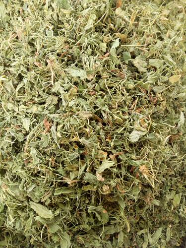 紫花地丁中药材野生地丁草犁头草紫花地丁草药苦地丁500克1袋包邮 - 图1