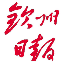 China Qinzhou Daily Reporting Loss Capital Reduction Cancellation and Auction Announcement Consultation Window