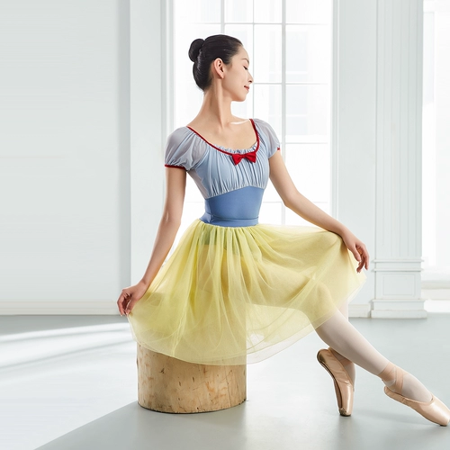 Новый продукт маленький жасмин цвет двойной слой белый снежный снежная балетная юбка для балета Half -кузов танцевальная марля