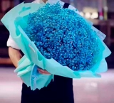 Цветочный спрей, полный звездного розового пачка, поставляется цветочная распылитель