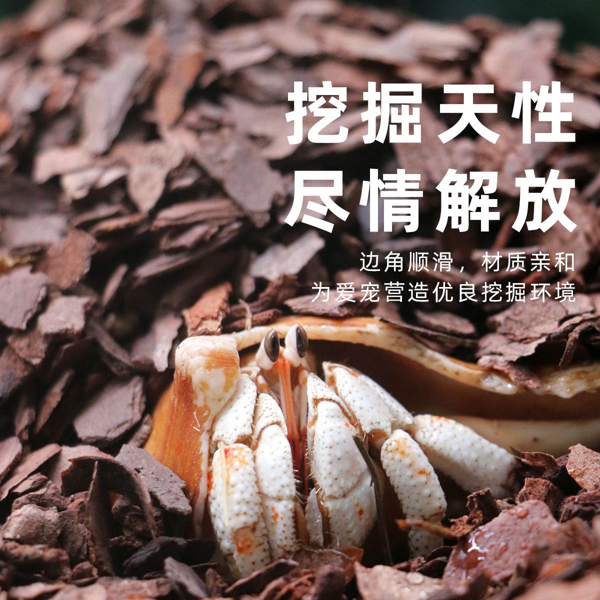 陌派寄居蟹专用天然树皮垫材～新手垫材垫料造景沙高保湿自然,淘宝优惠券,粉丝福利购,淘宝优惠卷